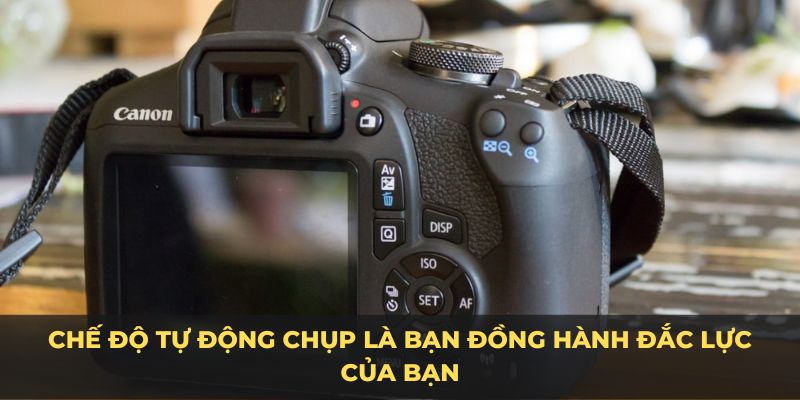 Chế độ tự động chụp là bạn đồng hành đắc lực của bạn