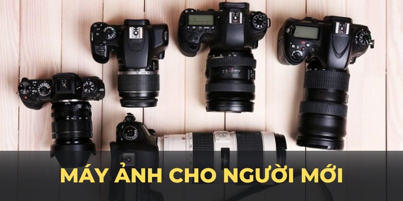 máy ảnh cho người mới